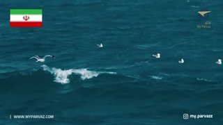 تور قشم تجربه ای متفاوت از سفر به این جزیره زیبا