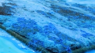 لیست بهترین قالیشویی های رشت