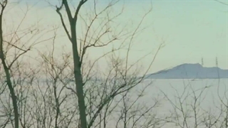 اسپویل قسمت 5 آغوش سرندیپیتی "Serendipity's Embrace"