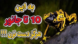 10 تا از سمی ترین حیوانات جهان ، 10 تا از جانواران خطرناک کره زمین
