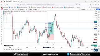 سیگنال ین ژاپن به دلار نیوزلند - کسب سود 55 پیپ از سیگنال VIP فارکس | ویدئو شماره 494