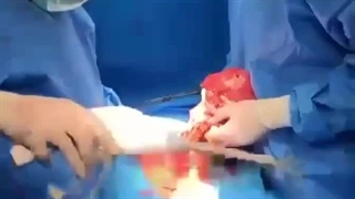 دکتر سید محمد مهدی غفاری همدانی شهر ساری