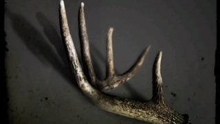 ریمیکس آهنگ گریز از مرکز علی سورنا