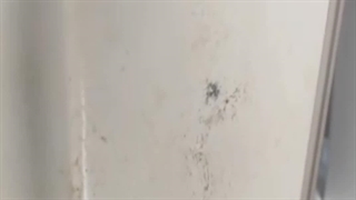 تعمیر رنگ پریدگی درب یخچال