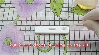 طرز استفاده بی بی چک کاستی مدیکور - فردا طب 09126851758 - فروش خرید و قیمت تست بارداری خانگی