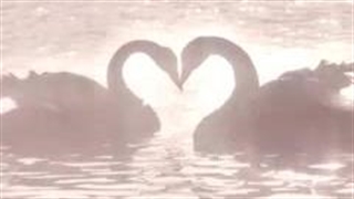 یروز همه میرن؟_نه کسی نمونده که بخواد بره...