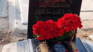 هدیه ای به قامت یکصد شاخه گل رز سرخ