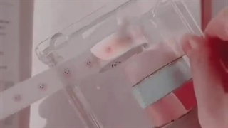 اسکرپ بوک ☘️