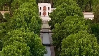 کارگزاری ساوآفرین