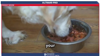 From Couch Potato To Zoom Machine! UltraK9 Pro