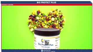 Is Your Dog At Risk? Revitalize Their Health With Bio Protect Plus (Vet-Approved)