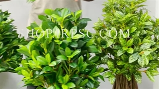 خرید درختچه مصنوعی بادام در سه رنگبندی | فروشگاه ملی