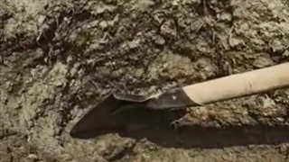 استفاده از زئولیت در کودحیوانی