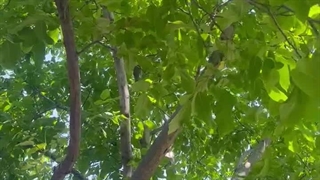 کسی هست؟