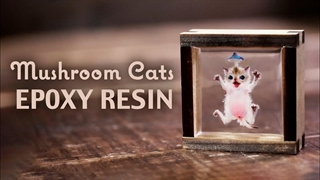 رشد یک قارچ از سر بچه گربه!!!