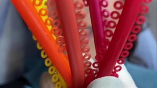 دکتر سلاله افخمی