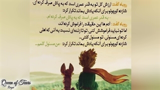 شازده کوچولو❤︎کتابی با دنیایی پر از حرف ها،برای قلب ها❤︎