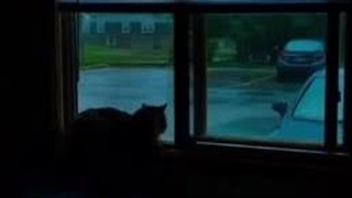 آهنگ ۸ بعدی