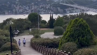 اژانس مسافرتی سرزمین بلوط سبز ساری