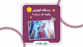 دستگاه گوارش - داروخانه آنلاین نسخه اول - داروخانه اینترنتی نسخه اول