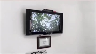 گردشی کوتاه در کلینیک دندانپزشکی