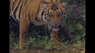 شعار اکادمی اخلاق کردار پندار نیک