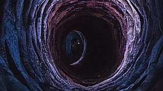 لایو اکشن کارولین (ساخته شده با هوش مصنوعی)