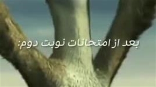 وضعیت الانمون