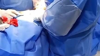 دکتر محمد صالحی‌پور (متخصص ارتوپدی)-بندرعباس