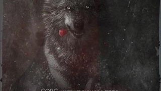 ریمیکس آهنگ تتلو گرگ