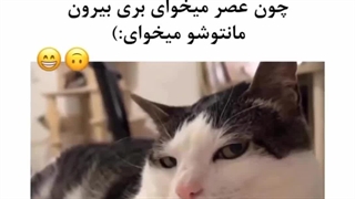 خواهر من...D: