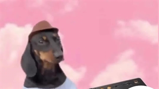 وقتی میخوام برم مدرسه به روایت تصویر: