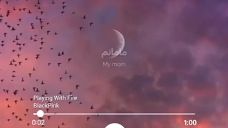 Playing with Fire (Black Pink)