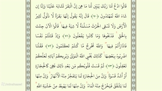 صفحه یازدهم از جزء اول قرآن با صدای استاد محمد صدیق منشاوی