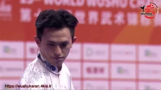 فرم شینگ یی چوان _2019