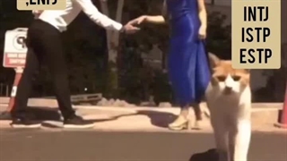 آره ، همینه برین توشون ✨