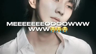 میییوووووووووووو**XD3>