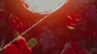 ویدیو‌غمگین
