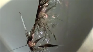 ترمیم شیشه غرب تهران 09386666514 _ 09028778882