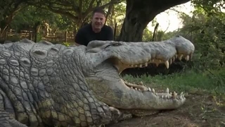 پیرترین تمساح جهان که 123 سال سن دارد