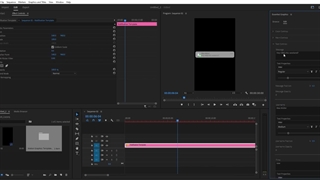 فیلم آموزش WhatsApp Text Message Pro Premiere Pro