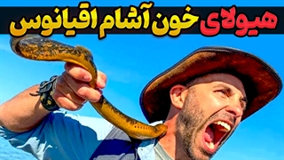 لامپری دریایی: انگل خطرناک و خون آشام اقیانوس‌ها | بررسی رفتار و زندگی عجیب این موجودات