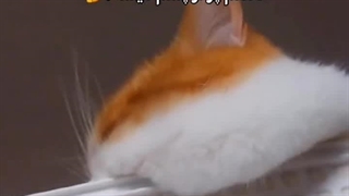 یدونه از اینا لطفا