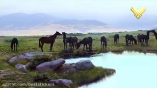 سینمایی ملک سلیمان