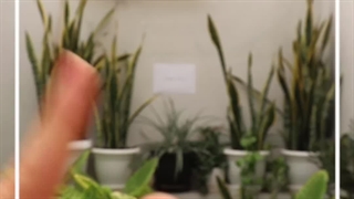 مزایا انتخاب آهن ملت ؟