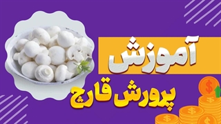 طلای سفید آشپزخانه خود را پرورش دهید