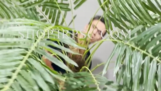 خرید درختچه مصنوعی نخل خرما درجه یک لمسی | فروشگاه ملی