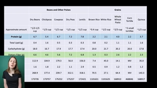 پروتئین لوبیا