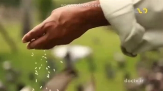 ”ماجرای تایلند“ روایتی الهام بخش از جوانان شیعه بانکوک