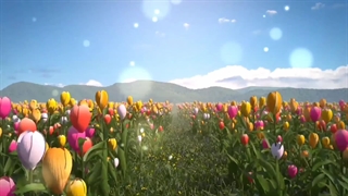 شفای آمیرزا حبیب الله گلپایگانی با توسل به امام رضا علیه السلام